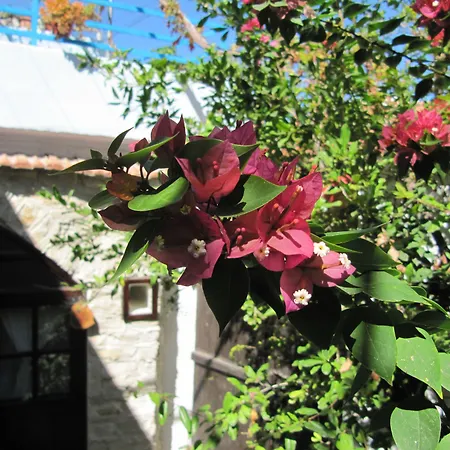 Stratos Artdeco House 4* Kalavasos