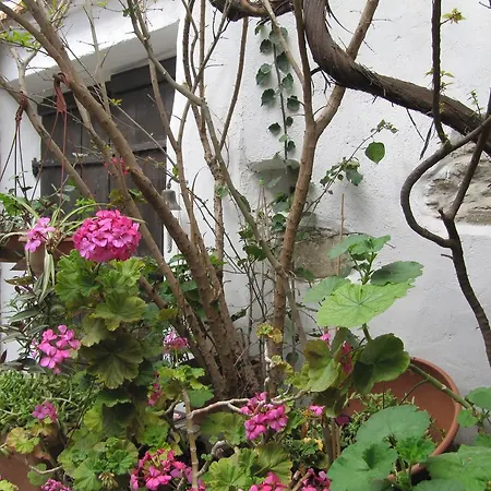 Stratos Artdeco House بيت ريفي