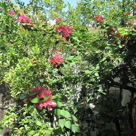 Stratos Artdeco House 4* كالافاسوس