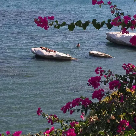 بيت ريفي Stratos Artdeco House كالافاسوس