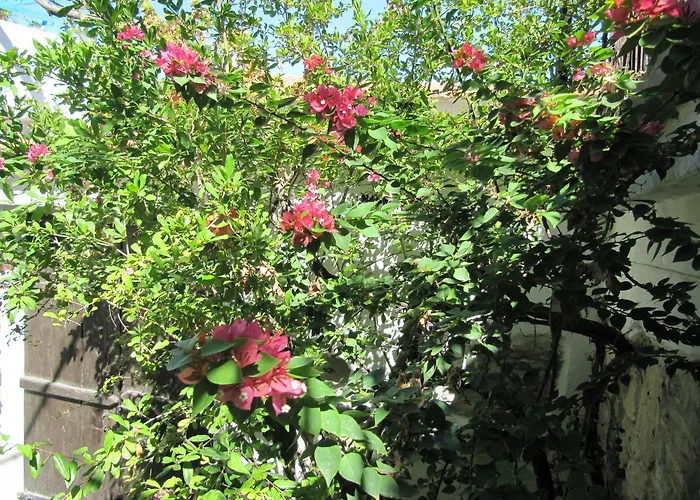 Stratos Artdeco House 4* Kalawasos